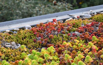 the cost of Cumberlow Green green roof installation