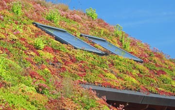 Cumberlow Green living roof systems